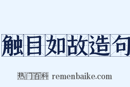 触目如故造句是什么意思的图片
